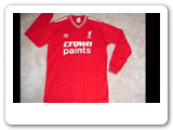Winning 6 of their record 18 league titles during the 1980s, Liverpool is the most decorated club in England. This jersey was from their double winning season of 1985-96.

sheffw4.jpg