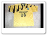 The Colorado Foxes were one of the most dynamic APSL clubs appearing in 3 consecutive finals from 1992 to 1994  - winning two. This is one of the Championship jerseys. 