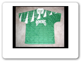 The Tampa Bay Rowdies began in 1975 with a kick in the grass. They continued from the NASL to the APSL falling short of the 1992 Championship by a single goal. This jersey was worn by US World Cup player Steve Trittschuh. 