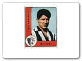 In 1962, a small company in Modena, Italy started a trend. Enzo Panini produced a set of Italian league players cards. Since then, they have done so for over 30 countries and sets for every World Cup from 1970 to the present. 