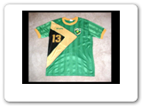 Jamaica has faught with the giants of its region, finally getting recognition when they qualified for the 1998 FIFA World Cup. They did have success in 1993 placing 3rd in the Gold Cup. This is a jersey from that era.